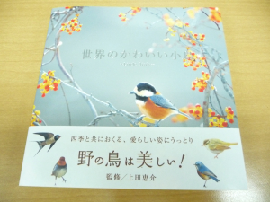 世界のかわいい小鳥