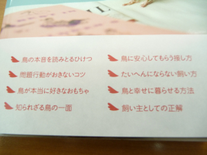 鳥さんとの問題解決の糸口になれば