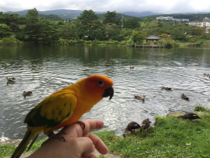 キキ嬢と鴨さんよ〜ん&#9829;