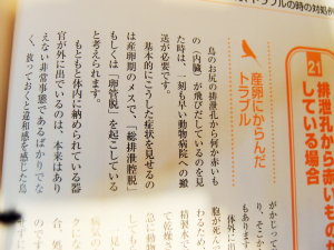 ページ上段