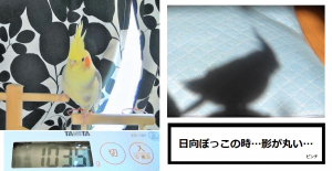 そして発情してしまう・・反省