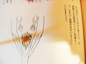 つづき　下段