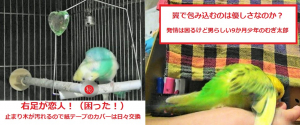 紙テープ巻の止まり木