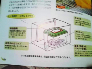 飼育書のイラスト　雛の湿度対策