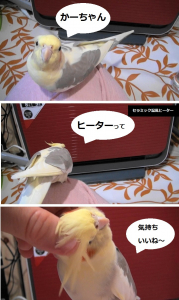 甘えられると弱い飼主