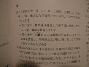 解説文。写真が歪んで見づらいです。