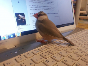 どこでも、寝るねぇ。