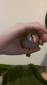 にぎ