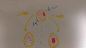 これで画像が付けられているでしょうか？？