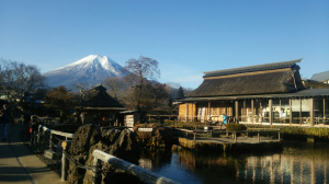 忍野八海での富士、気持ち良いほど晴天。