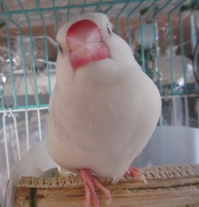 思う存分 見つめあってネ♪