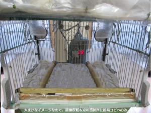 追伸画像イメージ