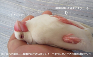 仰向けごろん&#9825;