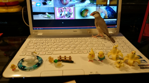 てへ