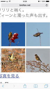 日本野鳥の会の写真