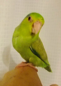 おやすみなさい。