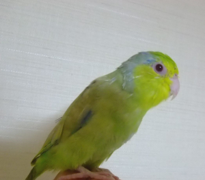 こんにちは。