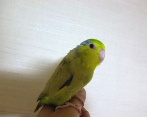 こんにちは。