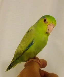 こんにちは。