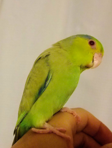 こんにちは。