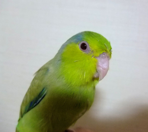 風邪をひかないようにね。
