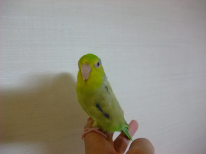 今日も良い時間に。