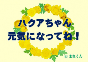 ハクアちゃん元気に！