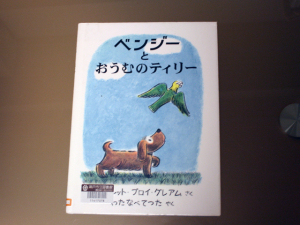 オオキボウシモドキ？？？