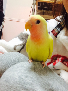 お気に入りスポットに登録？な一枚です(笑)