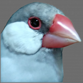 KAKU3