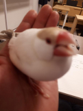 きみたん