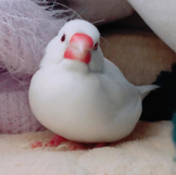 にかの日課