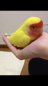 たく