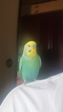 まさとそら