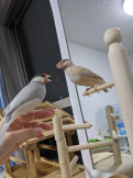 しー&amp;もん