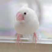 あゆっぷ