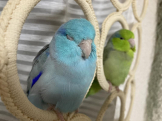 みっち2