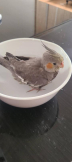 三児のまま