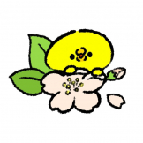 hibi