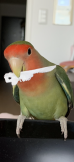 ナツミ
