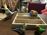 お妖