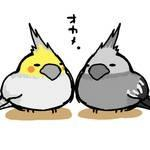 かわ
