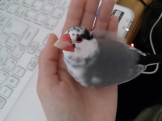 ぼんと文鳥