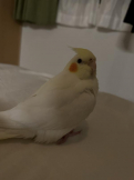 そうま