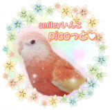 picoっと♡