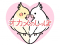 オカメのしっぽ