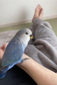 Coo太郎