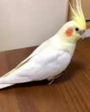 優ちゃん