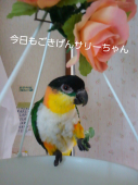 サリー