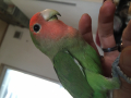 ちゅら